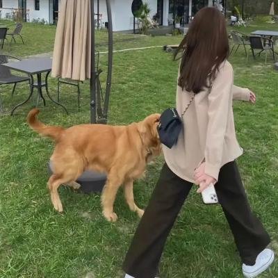 白宫也疯狂